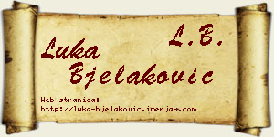 Luka Bjelaković vizit kartica